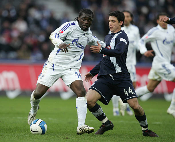 多夫比克的 多夫比克的