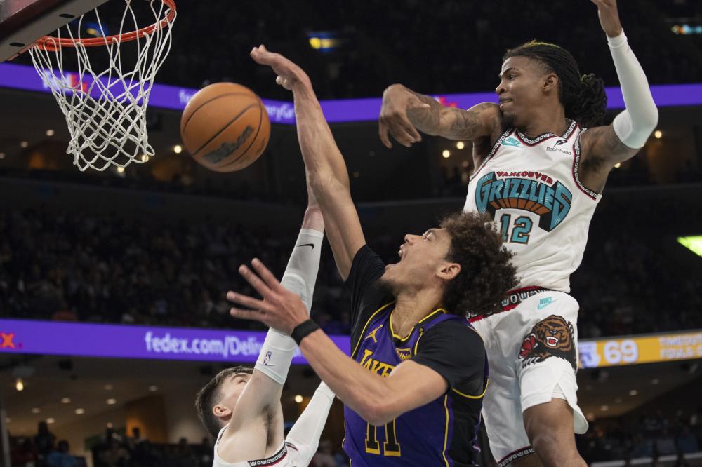 国内统治 国内统治